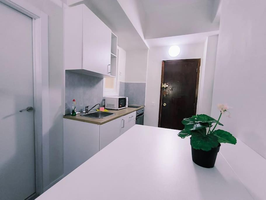 Apartamentos Carrillo 7 Santa Cruz de Tenerife Eksteriør billede